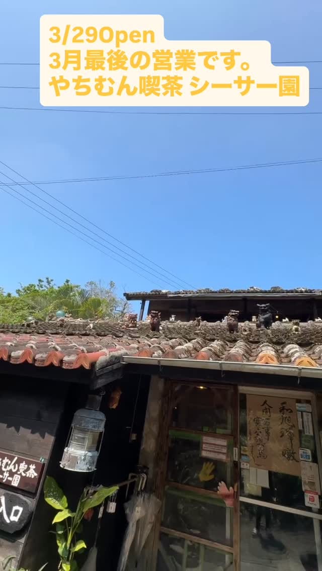 Post 4 by やちむん喫茶シーサー園 on Instagram (video)
