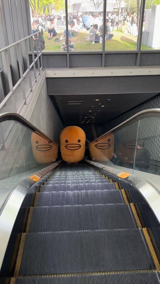 Post 8 by 🐣カステラのあかちゃん🐣 on Instagram (video)