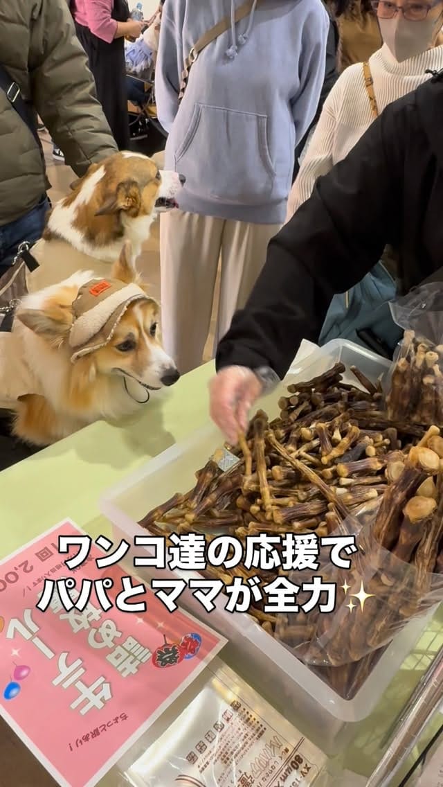 Post 10 by Pet House Tee on Instagram (video)