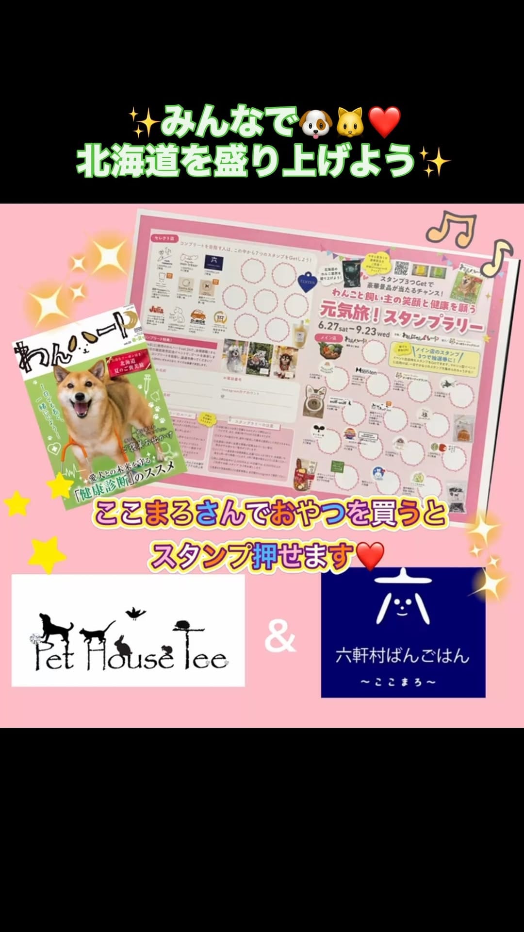 Post 6 by Pet House Tee on Instagram (video)