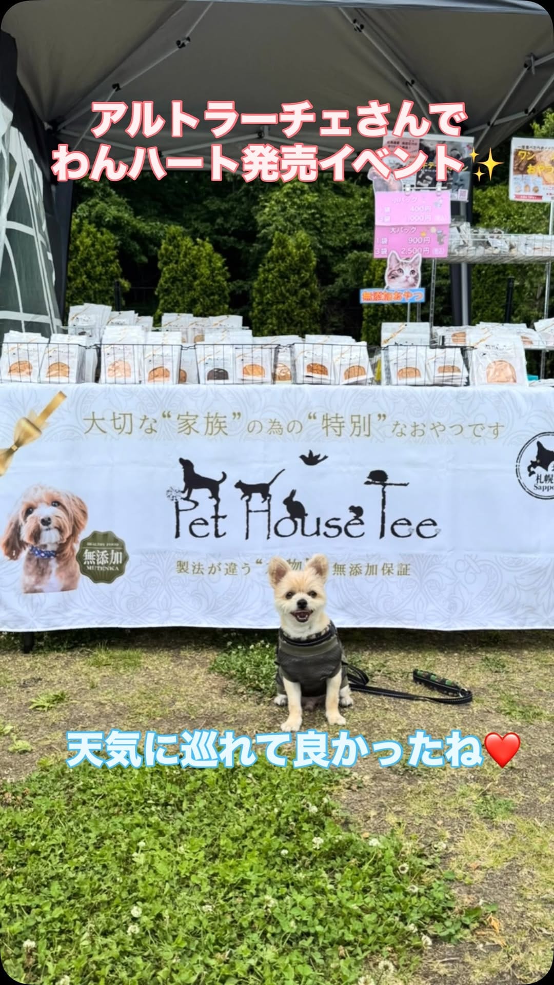 Post 7 by Pet House Tee on Instagram (video)