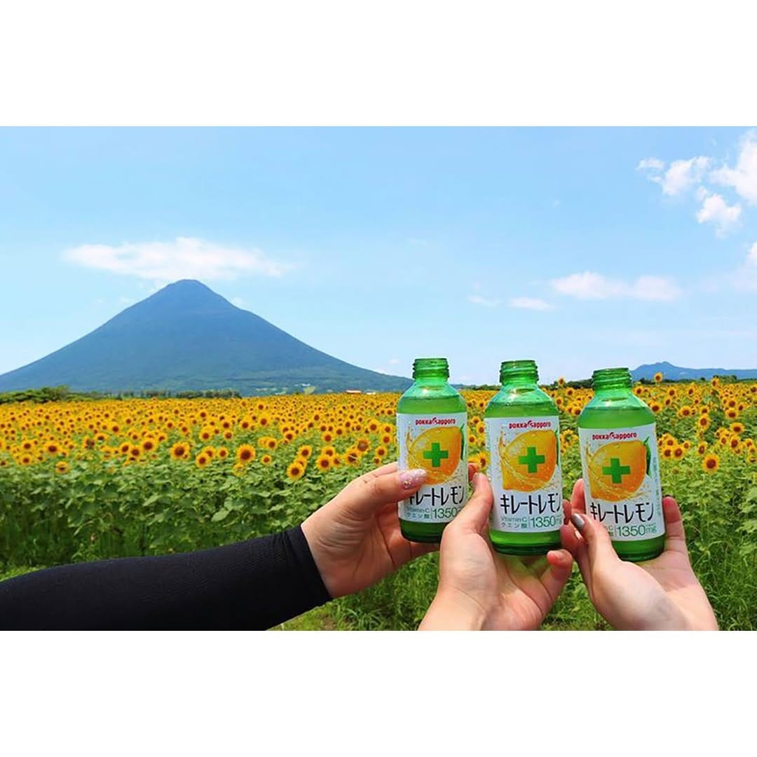 Post 10 by (運用終了)キレートレモン公式 on Instagram (image)