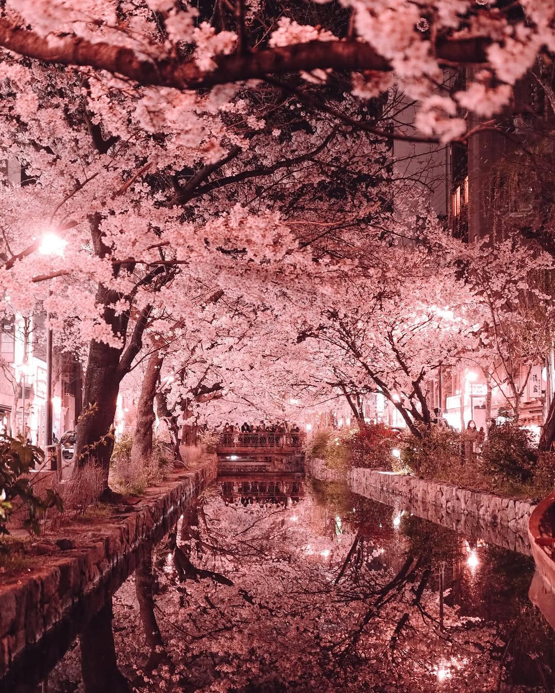 Post 4 by ✨ PixelPantz ✨ on Instagram (image)