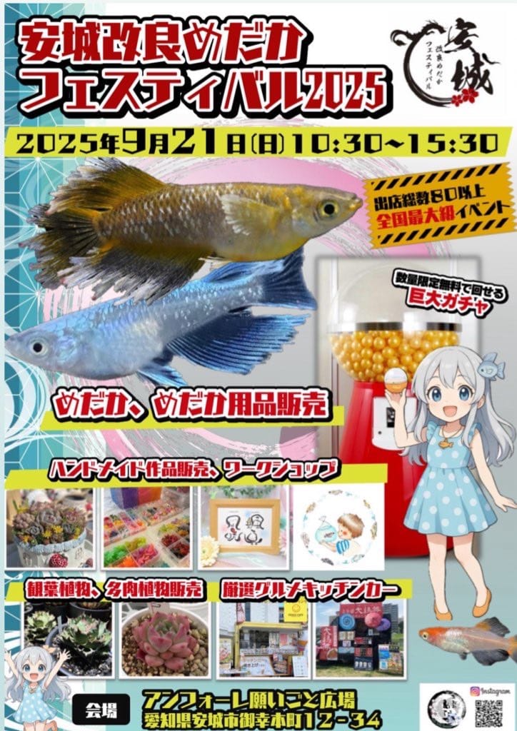 Post 4 by 和香 なごやか | 観賞魚飼育用品専門店 on Instagram (image)