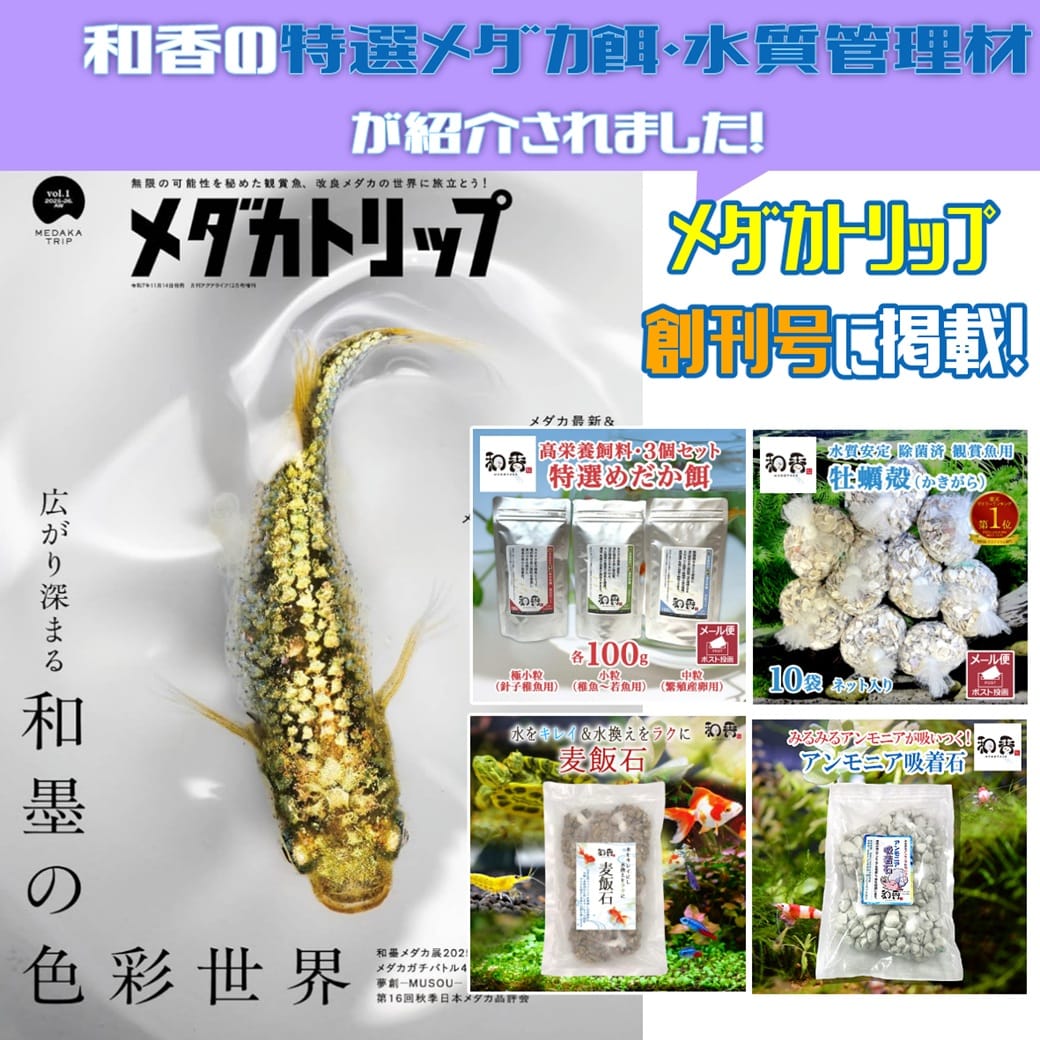 Post 1 by 和香 なごやか | 観賞魚飼育用品専門店 on Instagram (image)