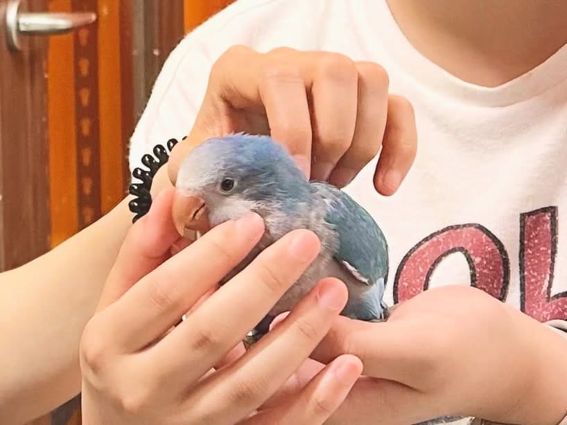 Post 6 by えとぴりかTOKYO on Instagram (image)