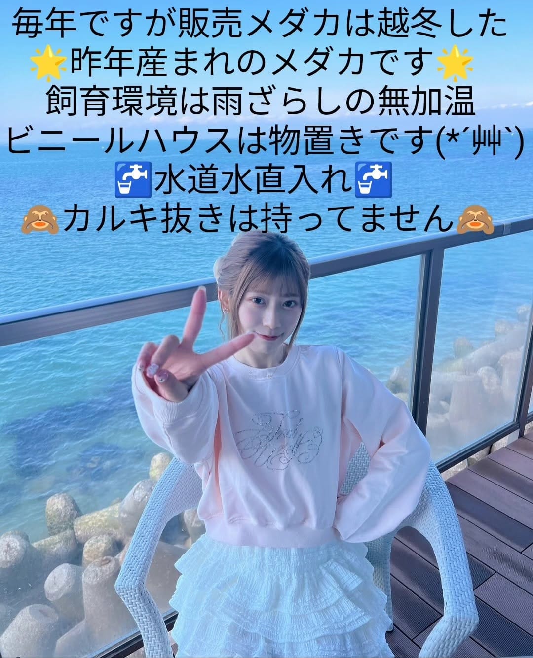 Post 8 by はるいろめだか on Instagram (image)