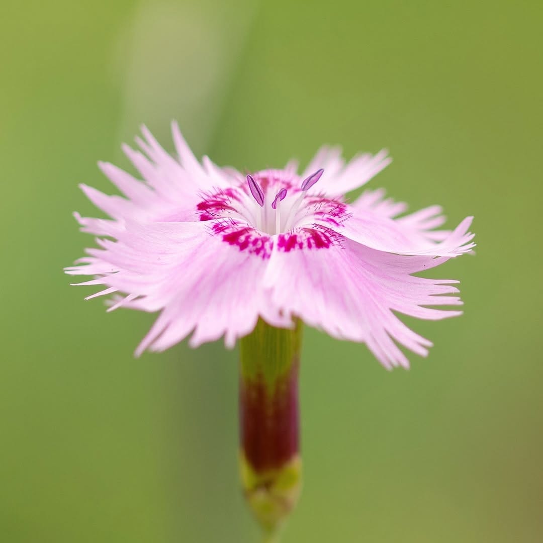 Post 4 by Daniël on Instagram (image)