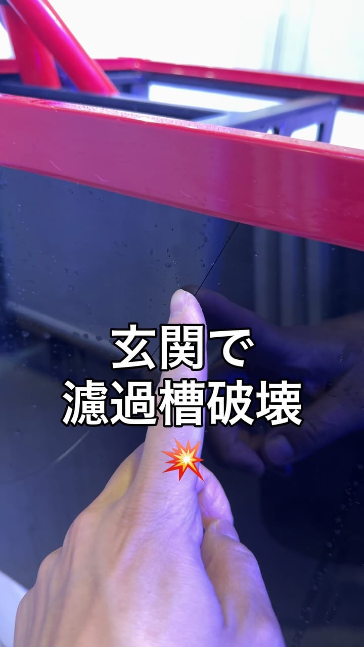 Post 8 by ハウスリーフ on Instagram (video)