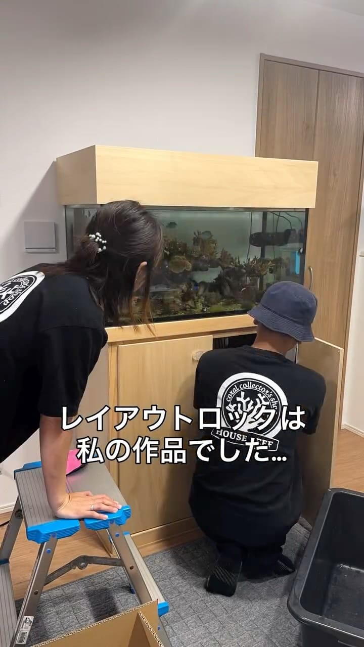 Post 6 by ハウスリーフ on Instagram (video)