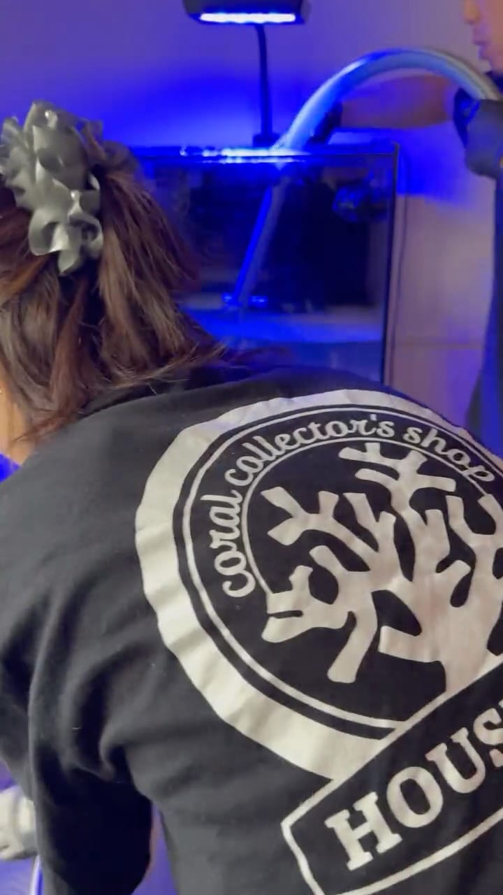 Post 3 by ハウスリーフ on Instagram (video)