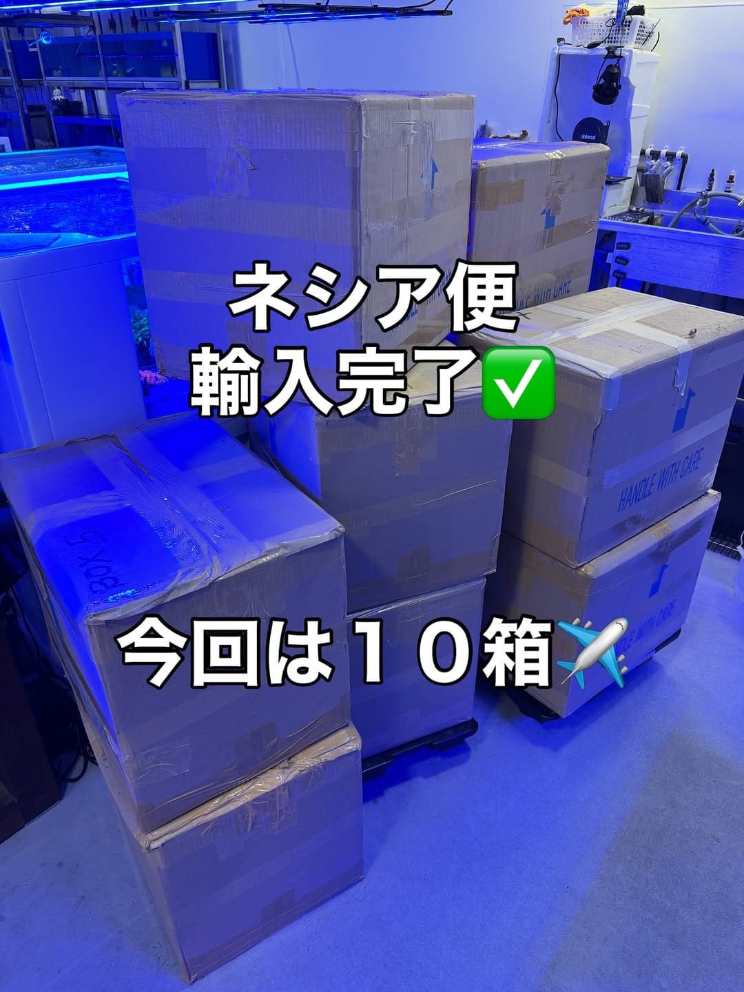 Post 7 by ハウスリーフ on Instagram (image)