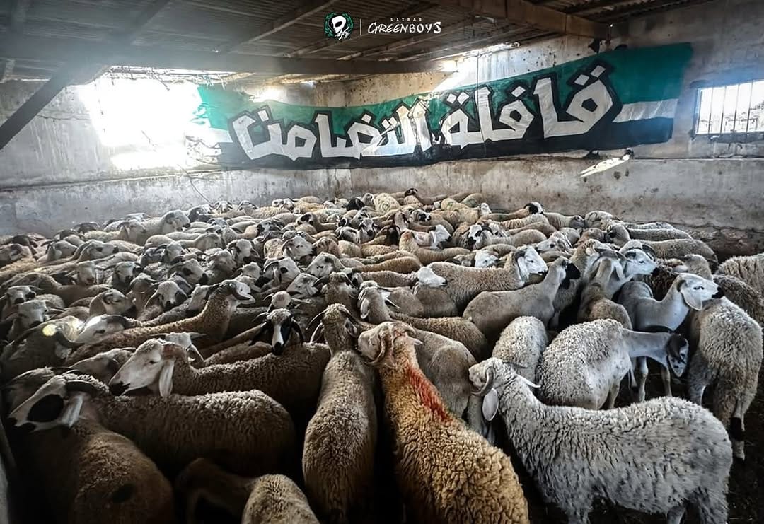 Post 10 by Ultras green boys 2005 on Instagram (carousel)