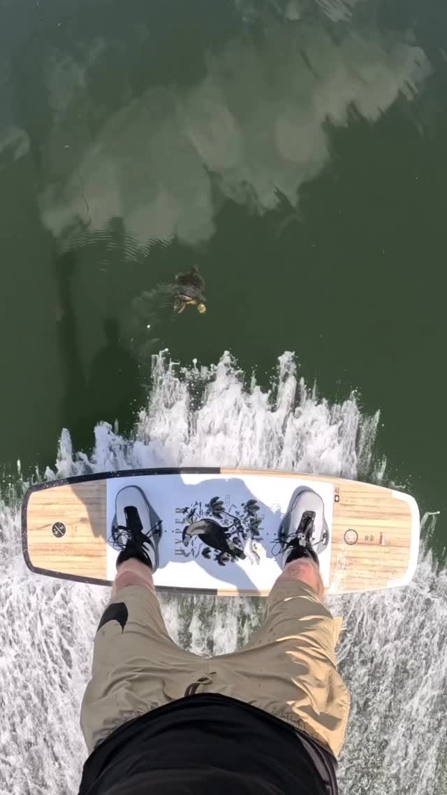 Post 3 by graeme burress on Instagram (video)