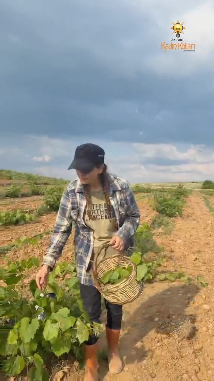 Post 1 by AK Parti GM Kadın Kolları on Instagram (video)