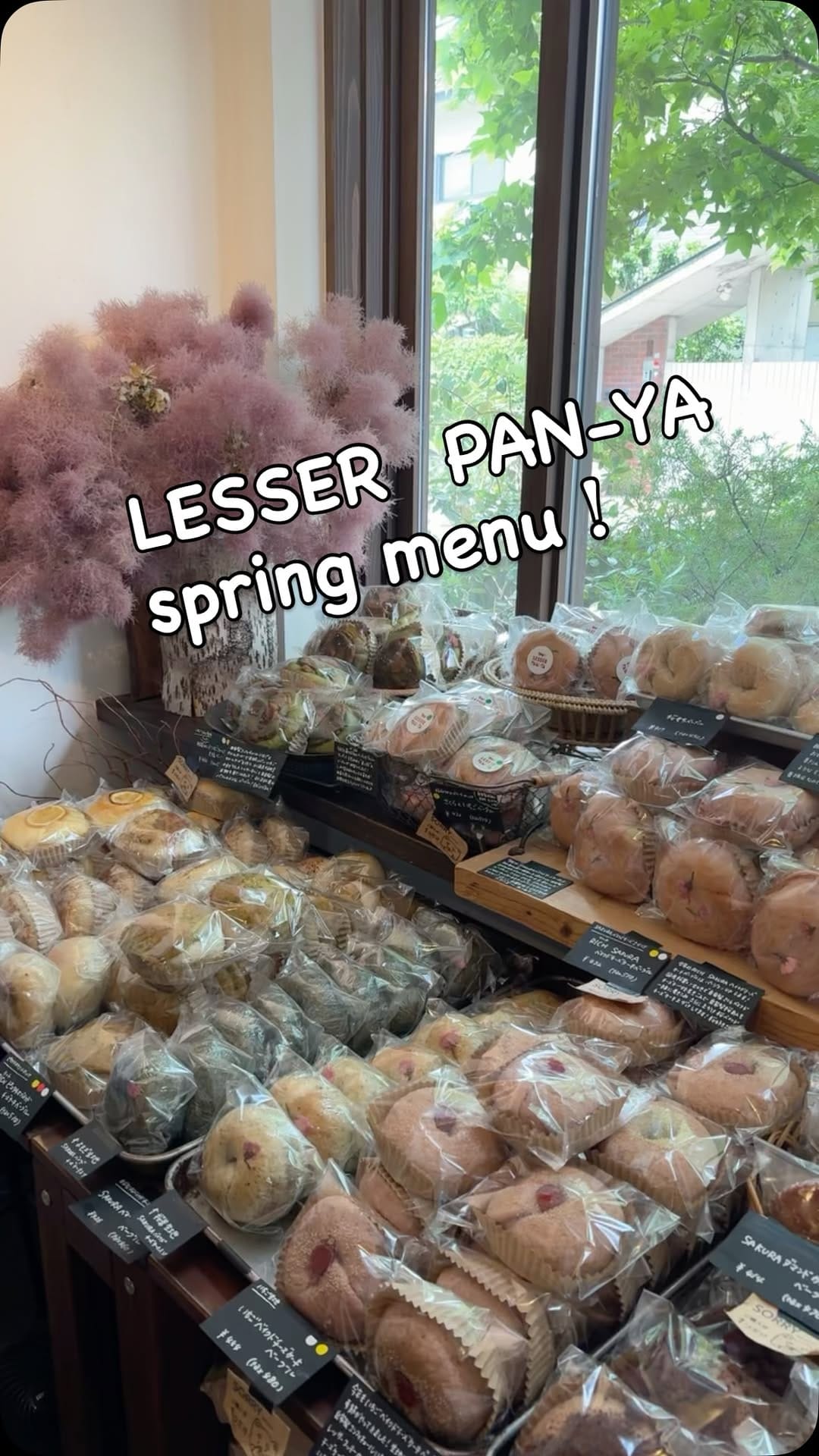 Post 7 by レッサーパンヤ on Instagram (video)