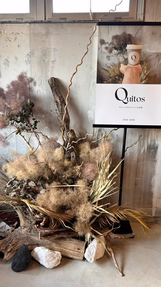 Post 7 by gatto 3℃・Quitos on Instagram (video)