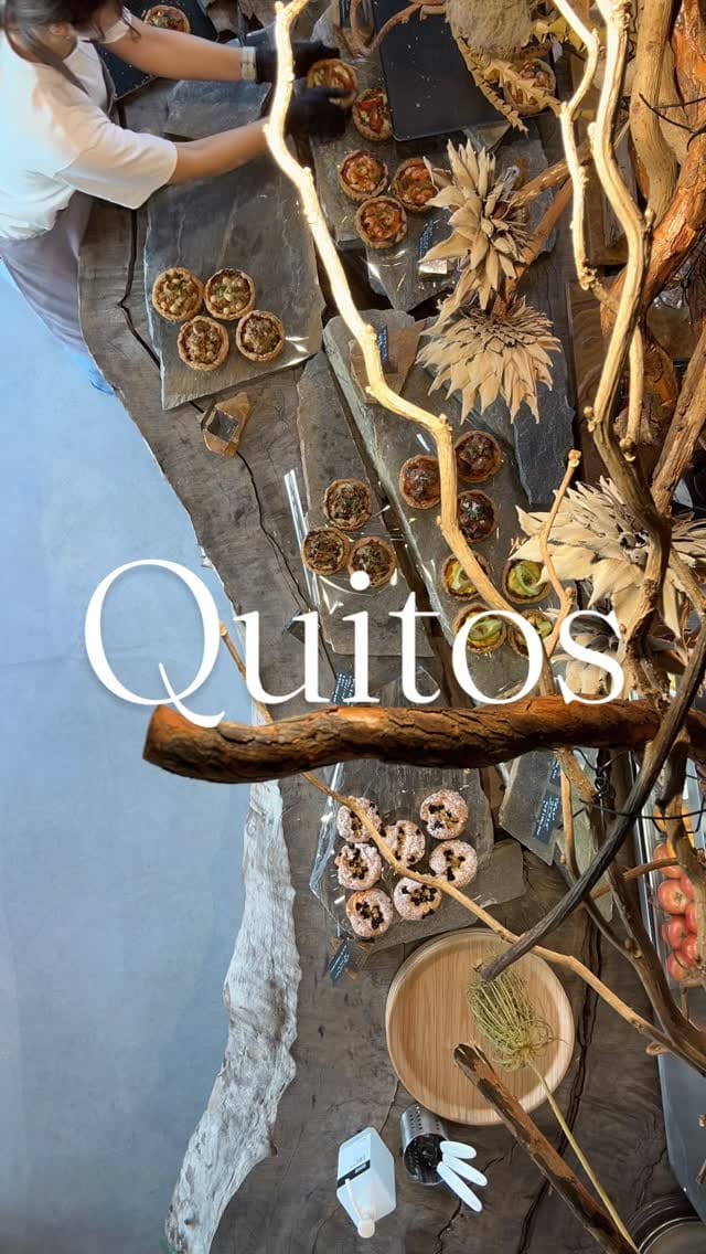 Post 8 by gatto 3℃・Quitos on Instagram (video)