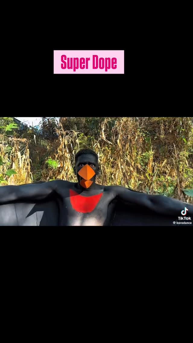 Post 3 by Jerome Harmon on Instagram (video)