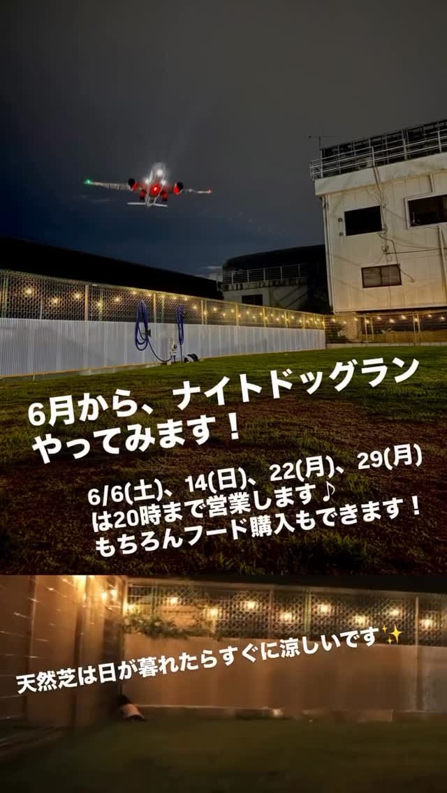 Post 6 by 食育士イカミと愛犬ゆず/犬と暮らす為の情報発信 on Instagram (video)