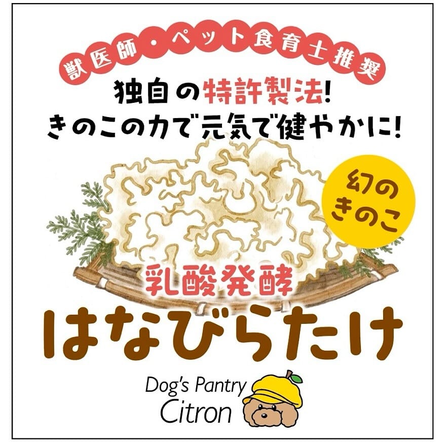 Post 10 by 食育士イカミと愛犬ゆず/犬と暮らす為の情報発信 on Instagram (carousel)