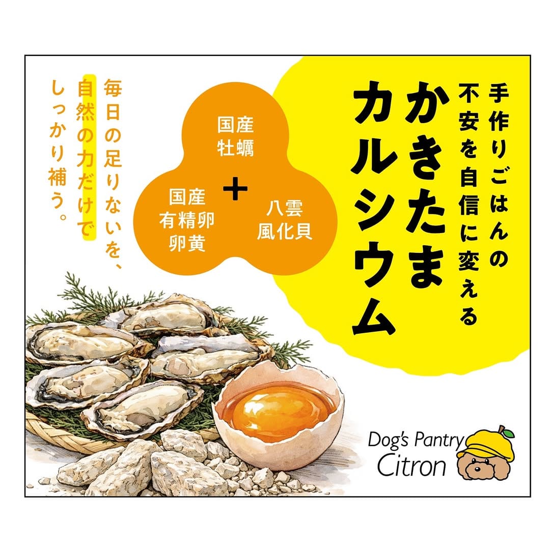 Post 9 by 食育士イカミと愛犬ゆず/犬と暮らす為の情報発信 on Instagram (carousel)