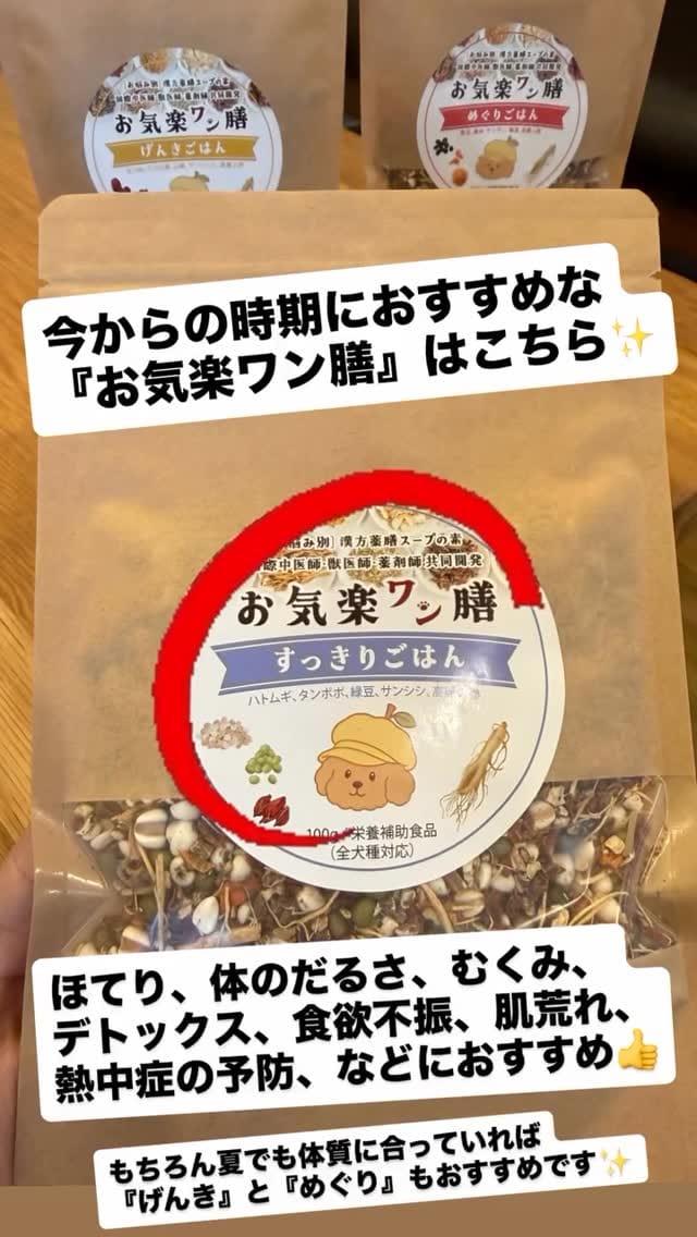 Post 7 by 食育士イカミと愛犬ゆず/犬と暮らす為の情報発信 on Instagram (video)