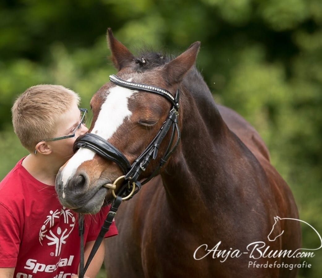 Post 3 by Jaycen liebt Glücksbär❤️🐴 on Instagram (carousel)