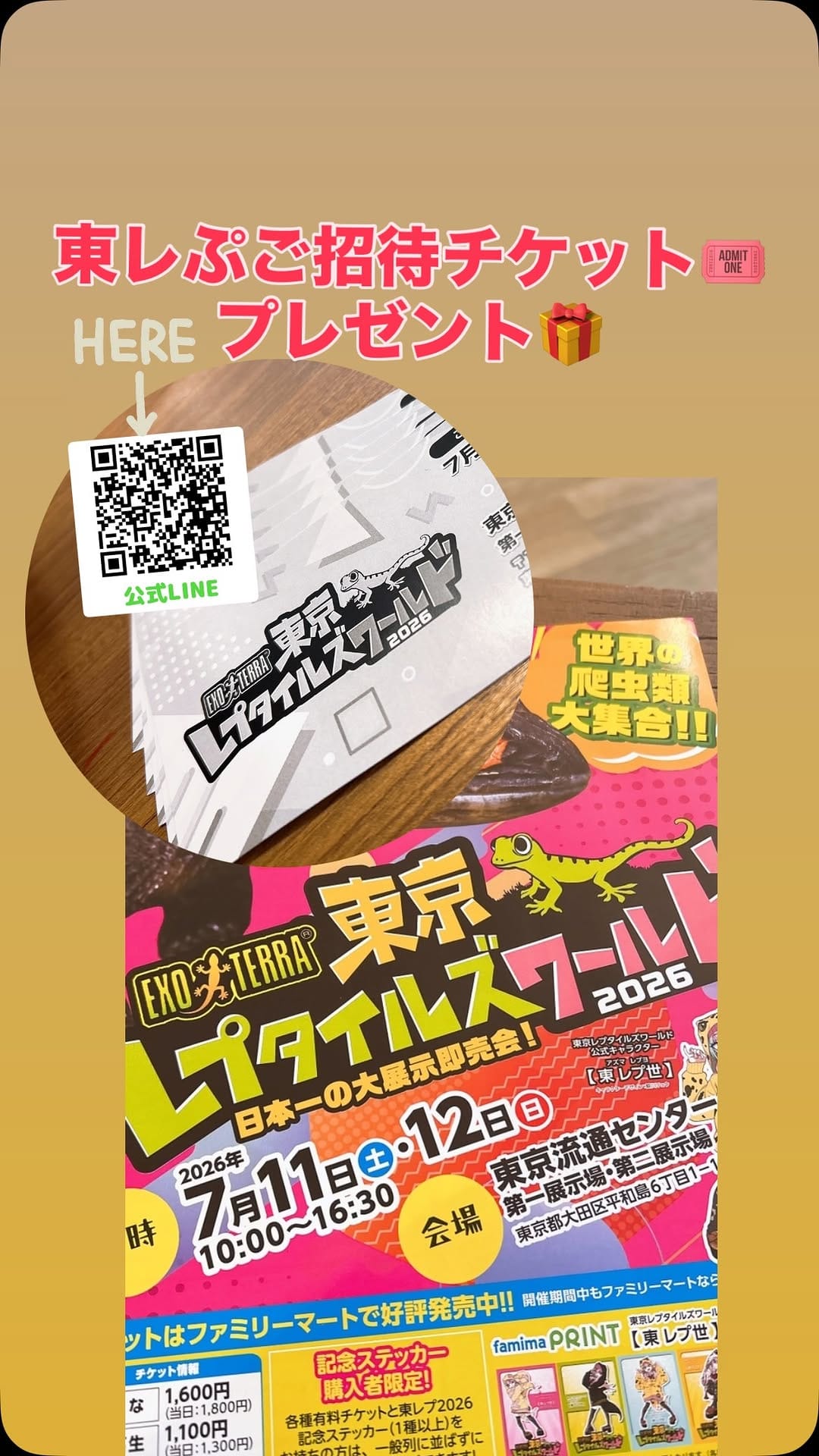 Post 4 by シュガシュガグライダー on Instagram (video)