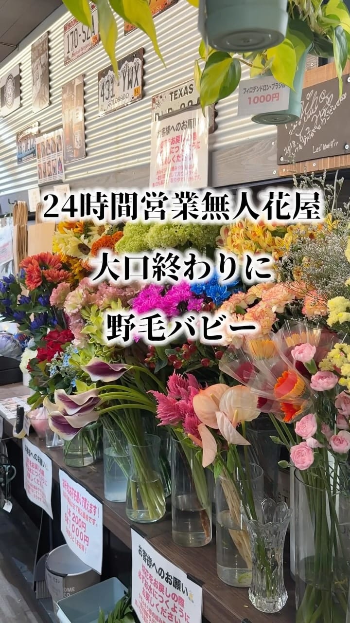 Post 1 by 永瀬勇気【SHOWCASE@ユーキ】 on Instagram (video)
