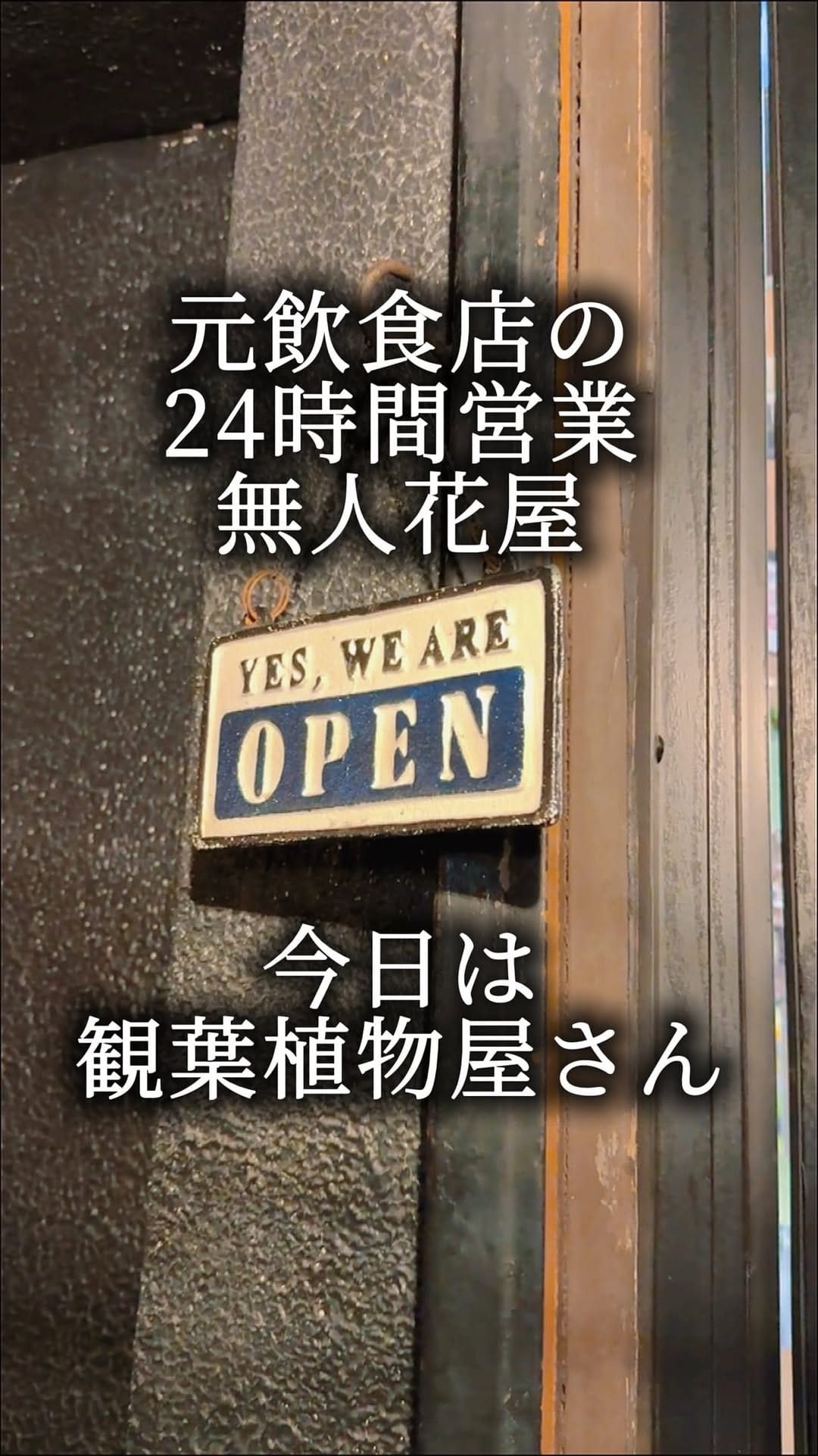 Post 2 by 永瀬勇気【SHOWCASE@ユーキ】 on Instagram (video)
