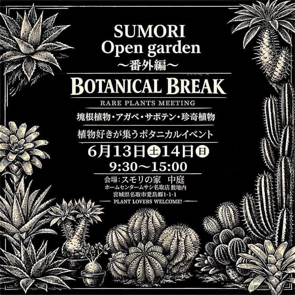 Post 5 by Libaran.Plants～オベサ専門店リバラン～ on Instagram (carousel)