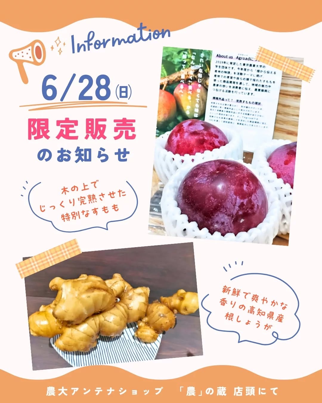 Post 5 by 農大ショップ「農」の蔵 on Instagram (image)