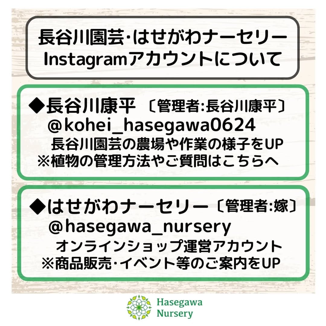 Post 8 by 長谷川康平 on Instagram (image)
