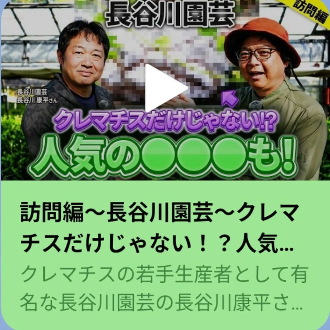 Post 7 by 長谷川康平 on Instagram (image)
