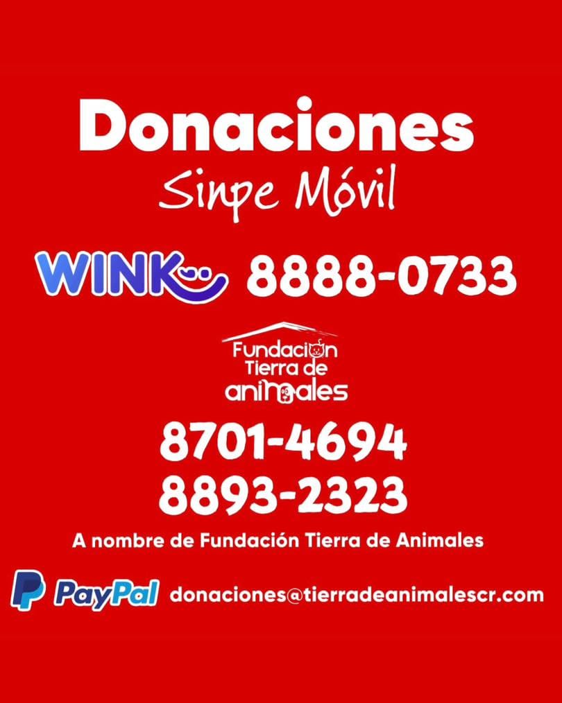 Post 10 by Fundación Tierra de Animales on Instagram (image)