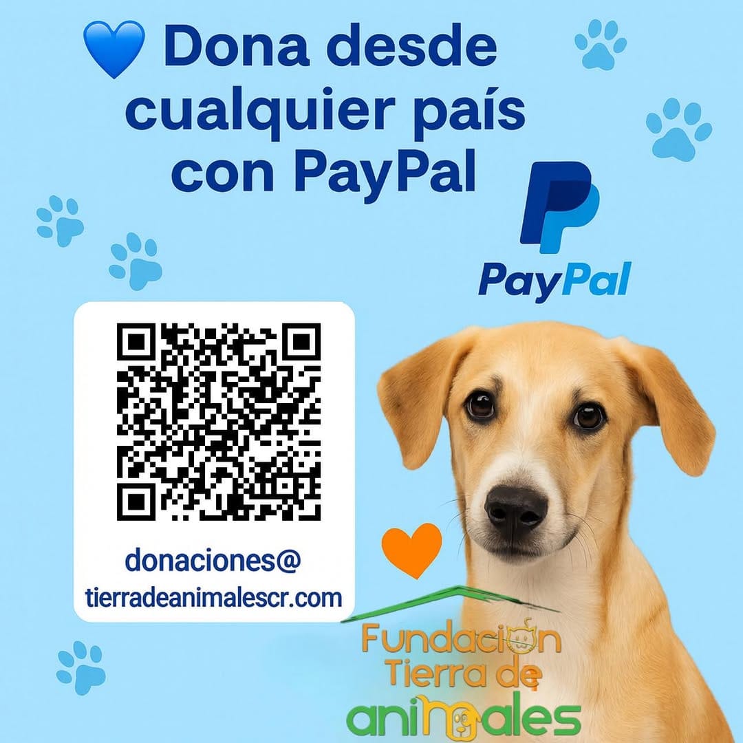 Post 9 by Fundación Tierra de Animales on Instagram (image)