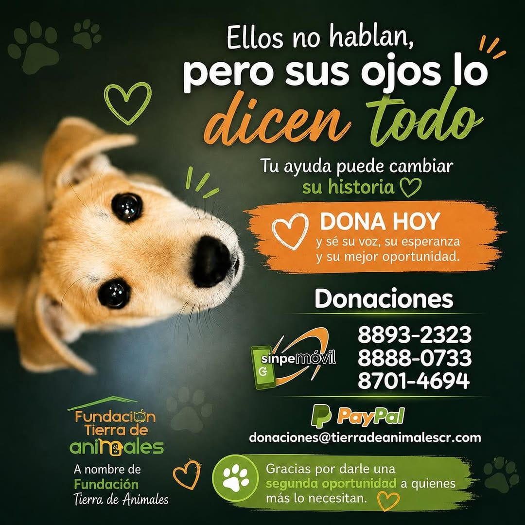 Post 2 by Fundación Tierra de Animales on Instagram (image)