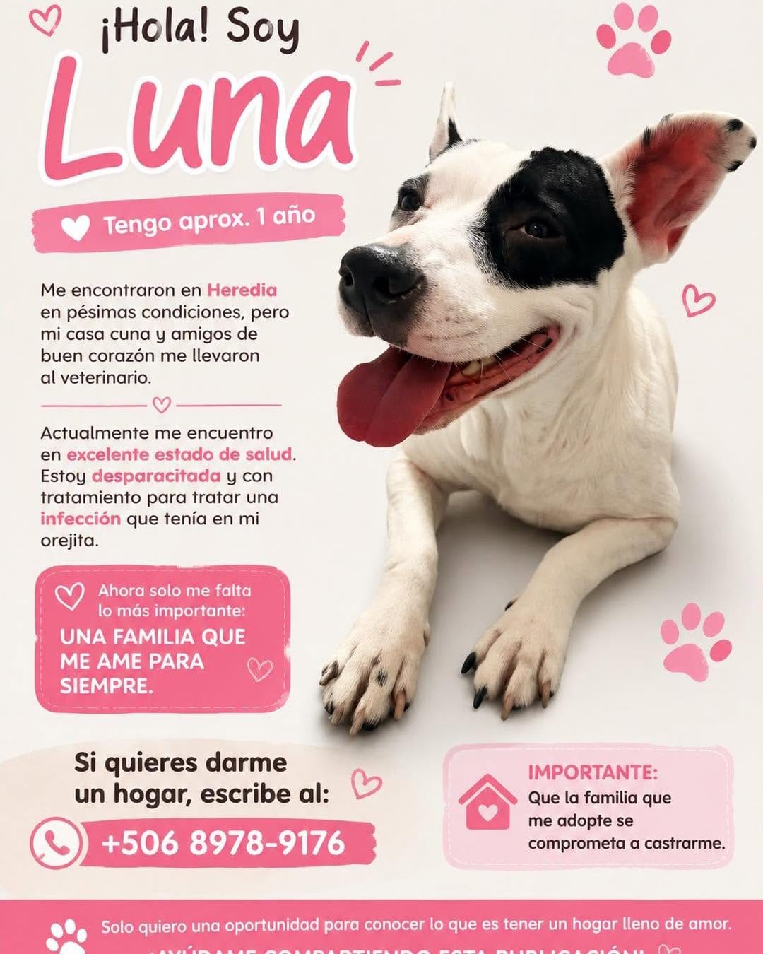 Post 6 by Fundación Tierra de Animales on Instagram (image)