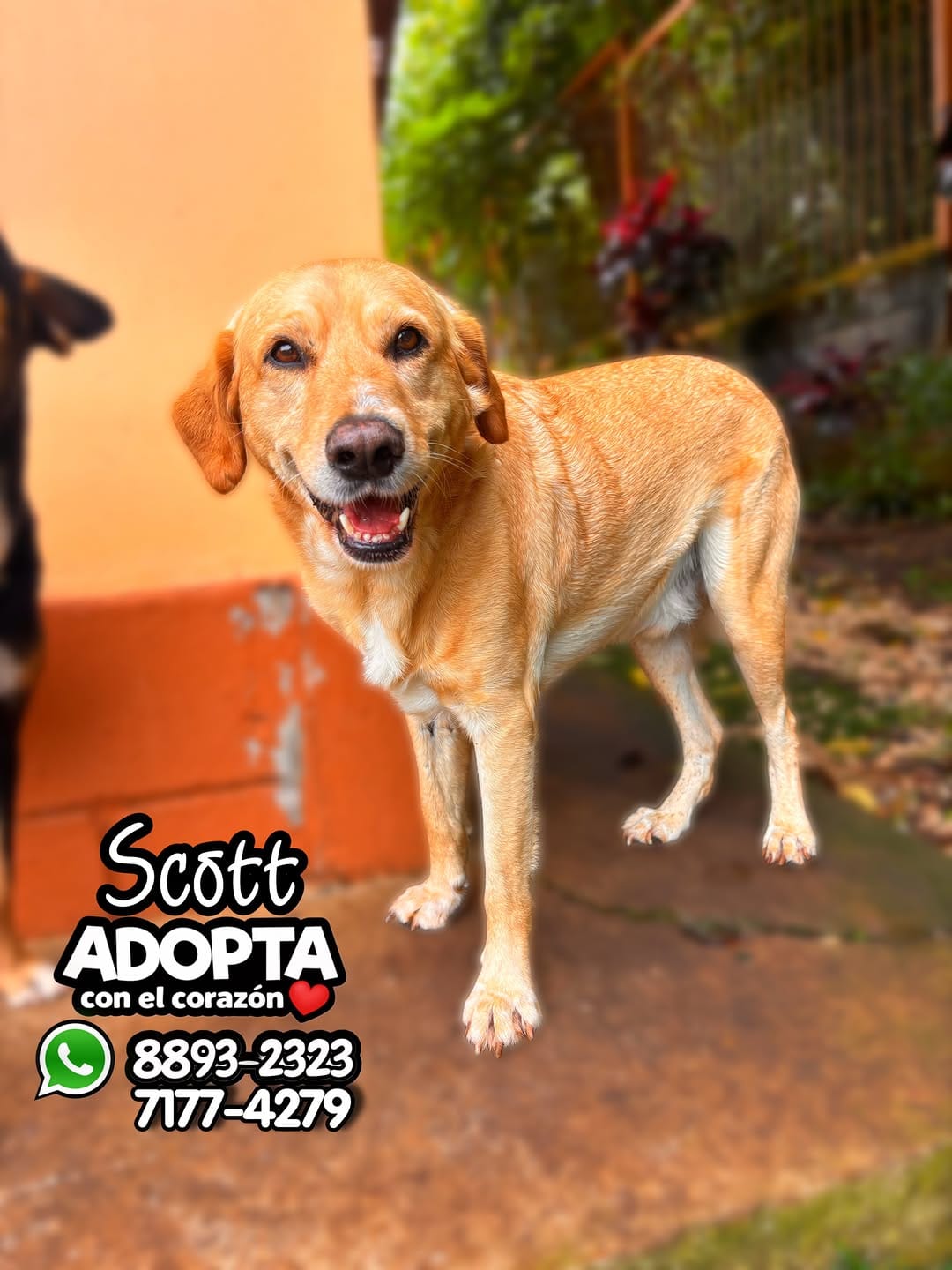 Post 1 by Fundación Tierra de Animales on Instagram (carousel)
