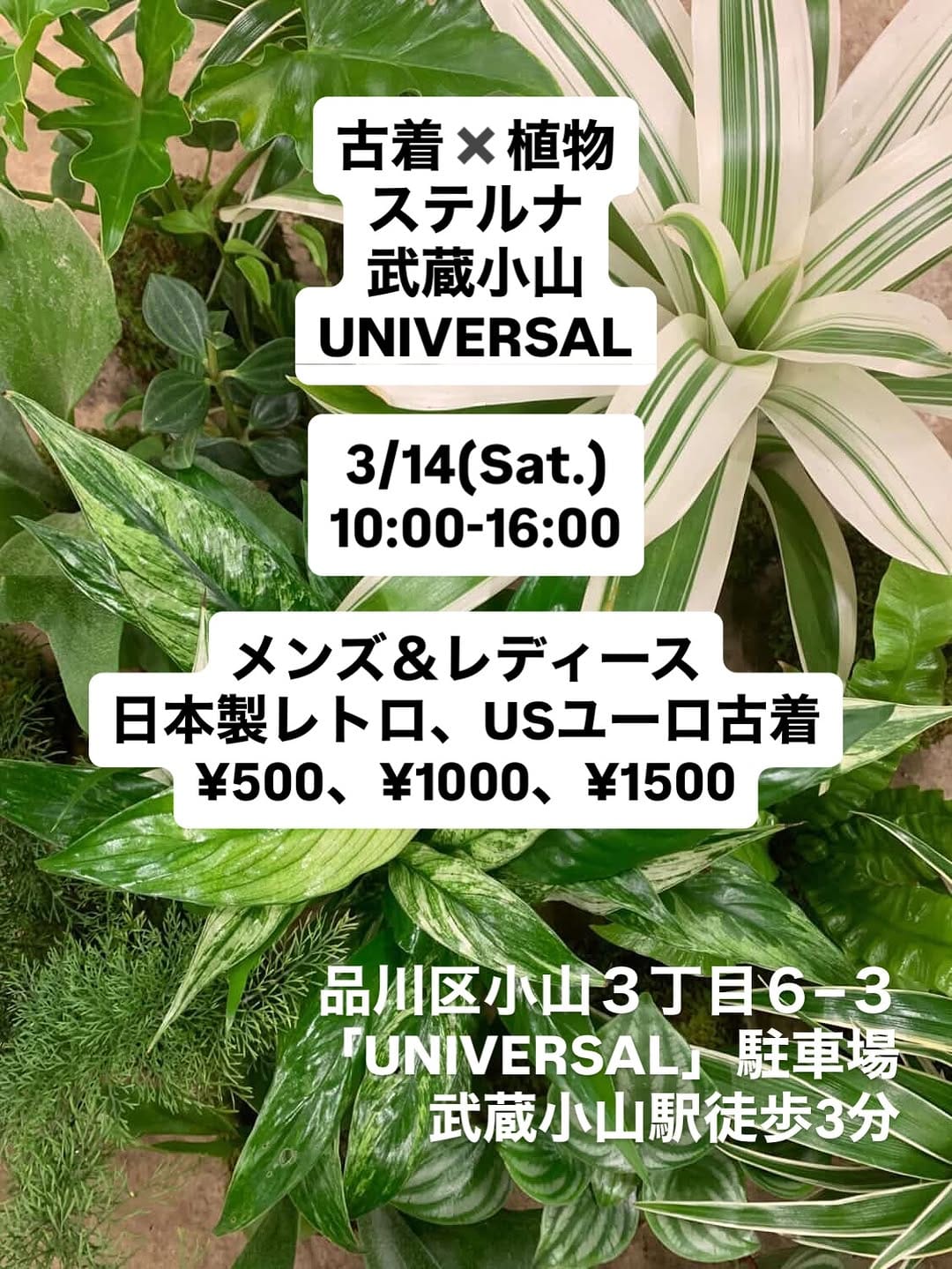 Post 7 by 古着ステルナ STERNA on Instagram (carousel)