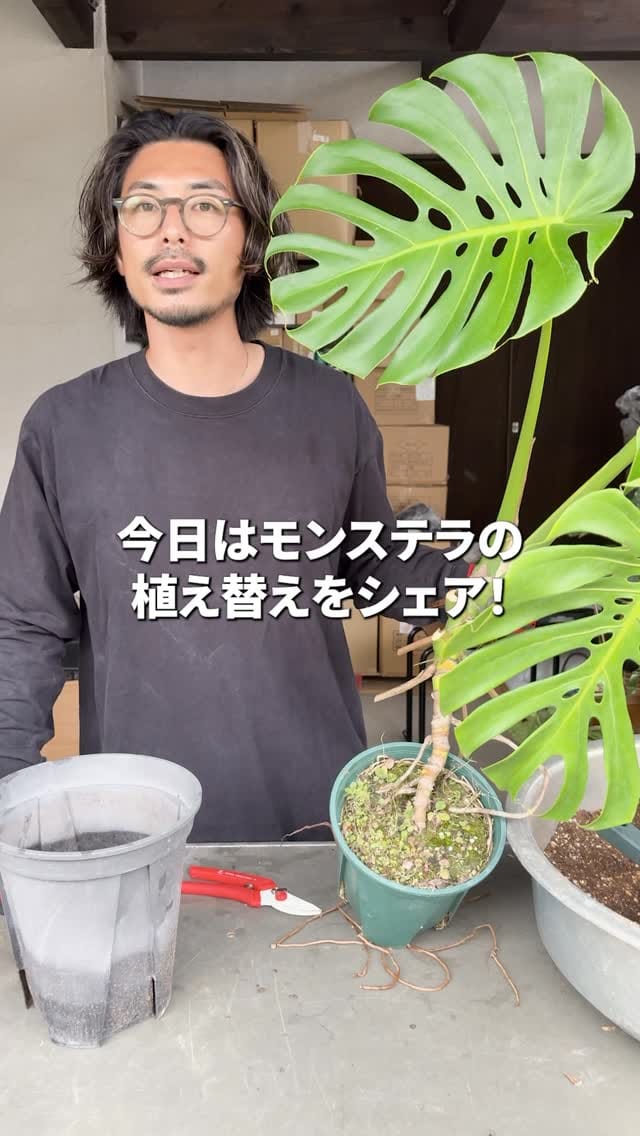 Post 2 by 観葉植物/枝物/ガーデン　whenua(フェヌア) on Instagram (video)
