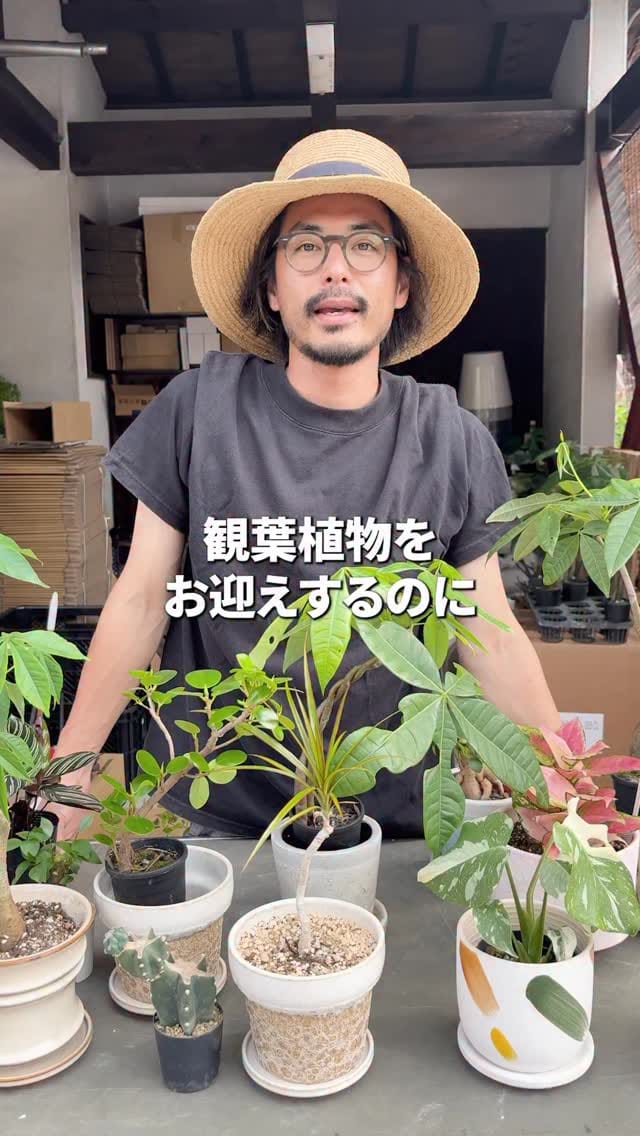 Post 7 by 観葉植物/枝物/ガーデン　whenua(フェヌア) on Instagram (video)