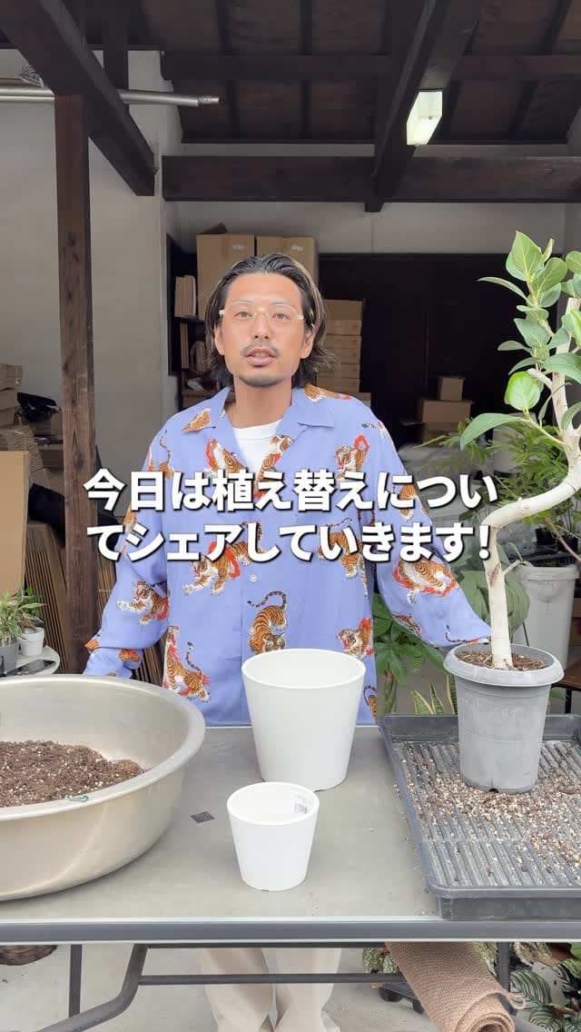 Post 6 by 観葉植物/枝物/ガーデン　whenua(フェヌア) on Instagram (video)