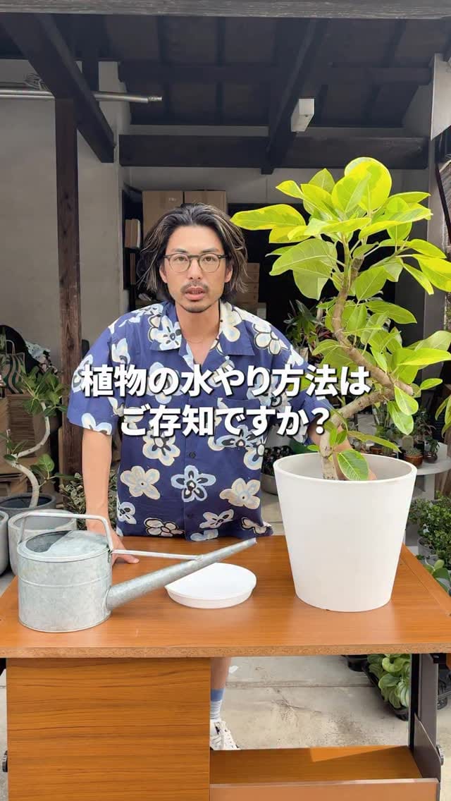 Post 5 by 観葉植物/枝物/ガーデン　whenua(フェヌア) on Instagram (video)