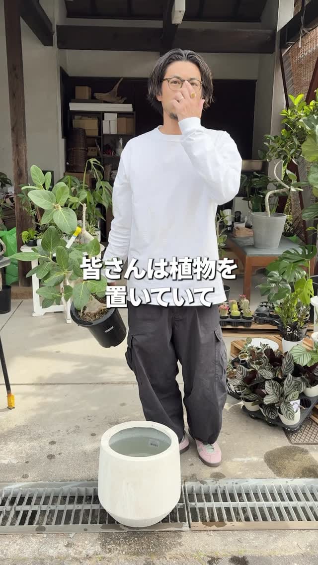 Post 8 by 観葉植物/枝物/ガーデン　whenua(フェヌア) on Instagram (video)