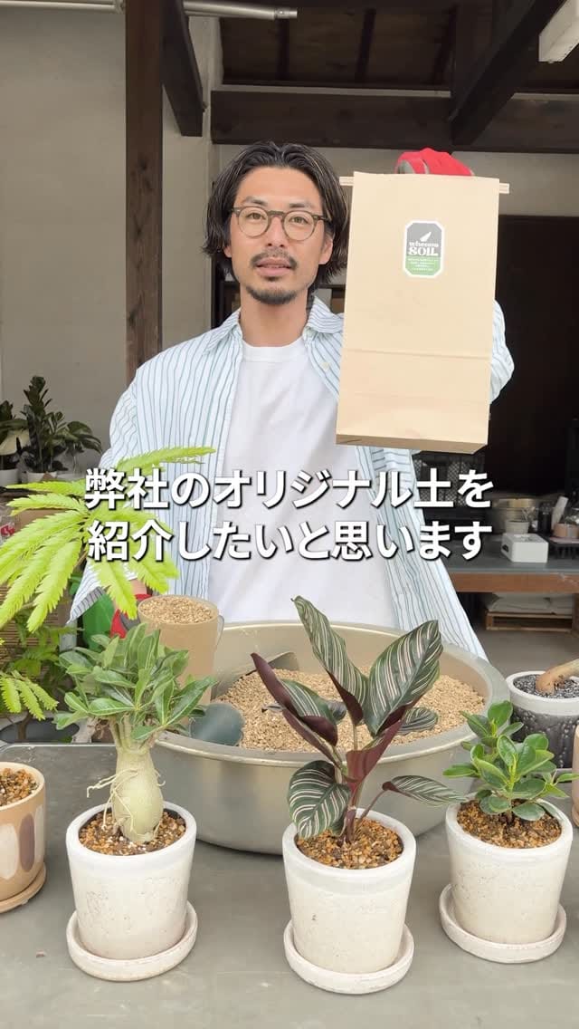 Post 10 by 観葉植物/枝物/ガーデン　whenua(フェヌア) on Instagram (video)