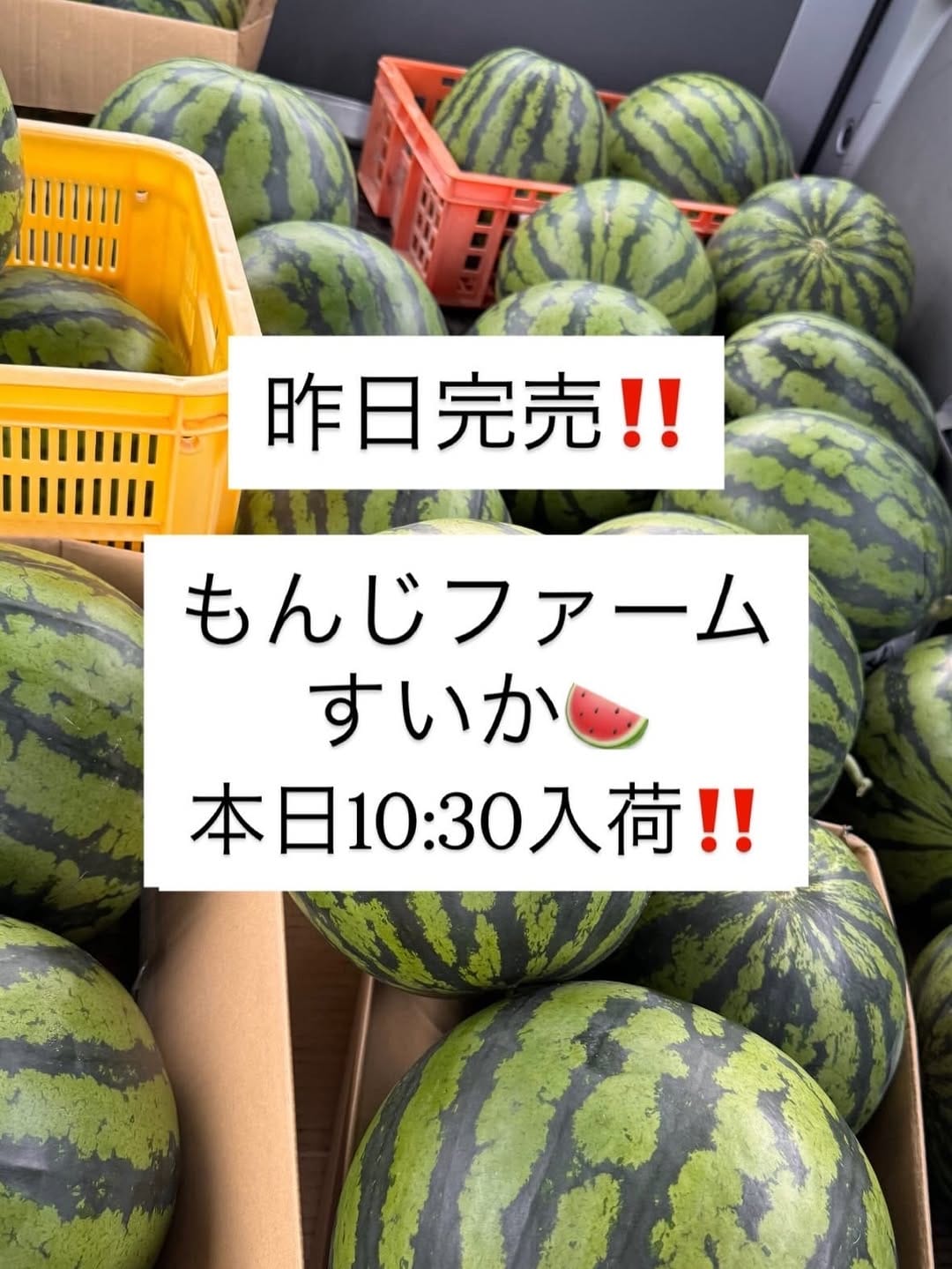 Post 2 by マスヤ味方店 | 新グルメの聖地| 店長くりばやしれな on Instagram (carousel)