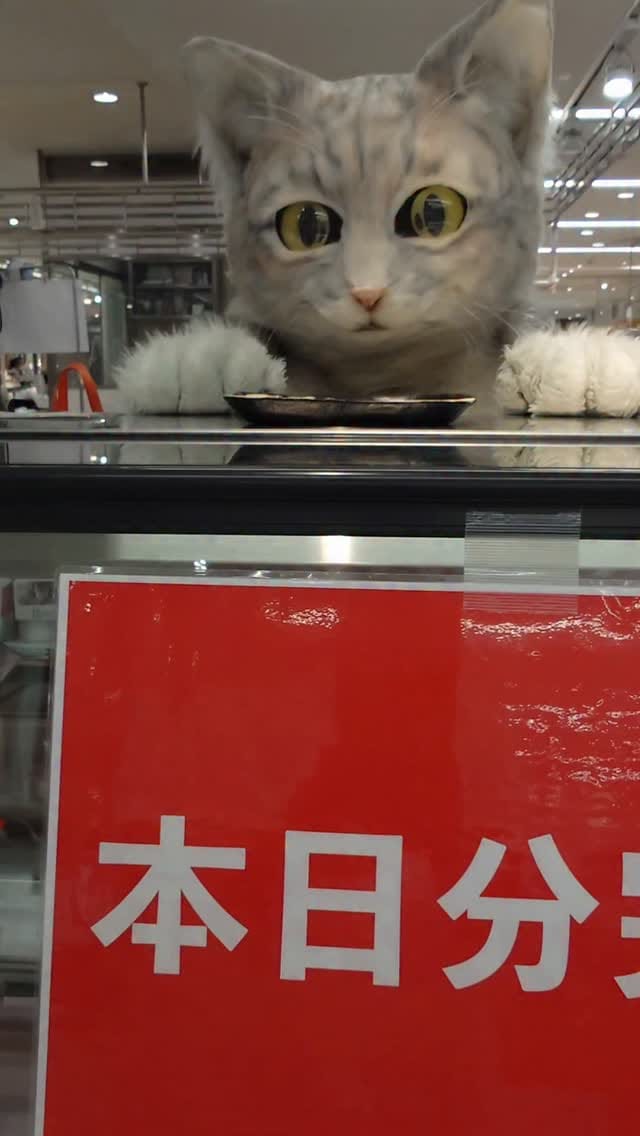 Post 5 by 源田 晃一 on Instagram (video)
