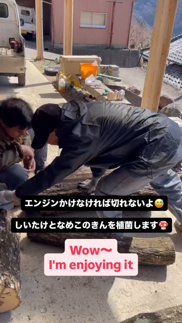 Post 9 by サンヤ農場 on Instagram (video)